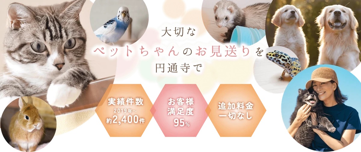 円通寺のイメージ画像