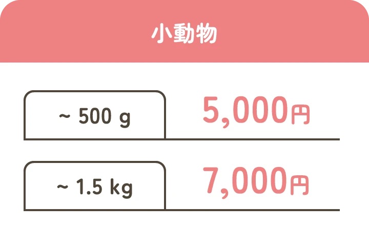 葬儀・法要のことなら円通寺へ