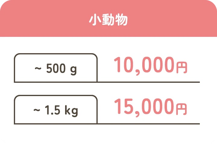 葬儀・法要のことなら円通寺へ