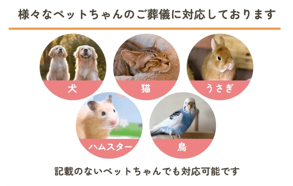 葬儀・法要のことなら円通寺へ